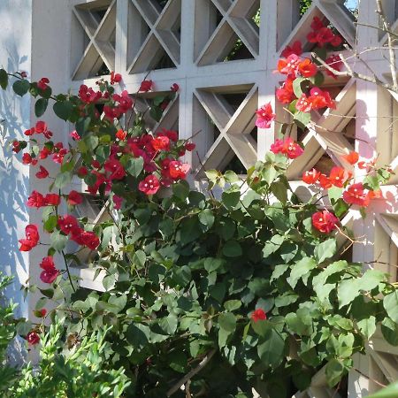 Ferienwohnung Birkenflair سيون-سيبروك المظهر الخارجي الصورة